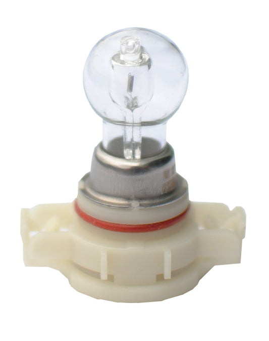 Halogenlampe M-TECH PSX24W PG20-7 24W CLEAR 12V